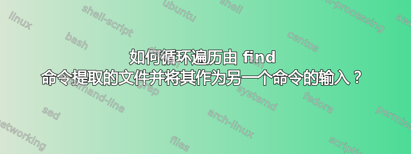 如何循环遍历由 find 命令提取的文件并将其作为另一个命令的输入？