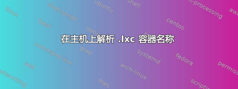 在主机上解析 .lxc 容器名称