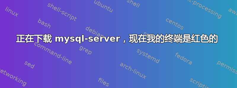 正在下载 mysql-server，现在我的终端是红色的