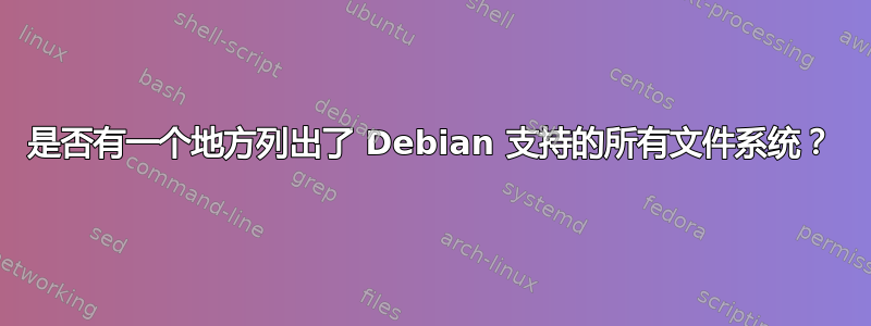 是否有一个地方列出了 Debian 支持的所有文件系统？