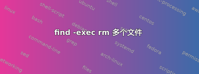 find -exec rm 多个文件