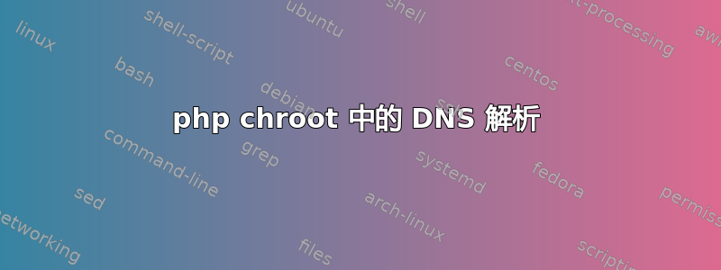 php chroot 中的 DNS 解析