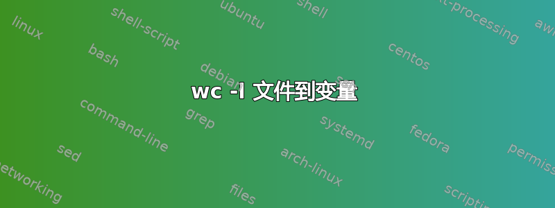 wc -l 文件到变量