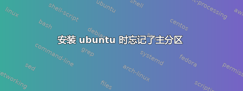 安装 ubuntu 时忘记了主分区