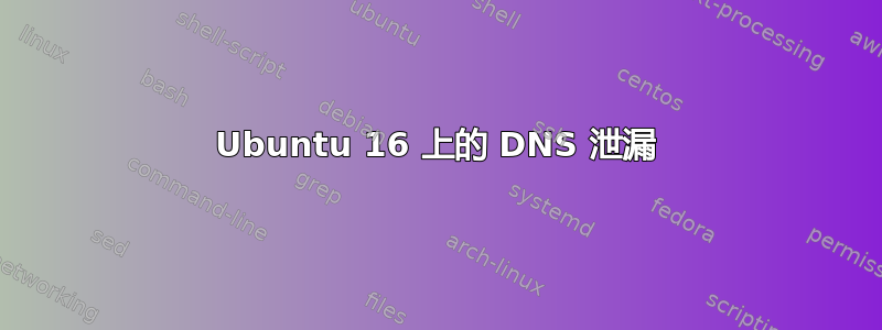 Ubuntu 16 上的 DNS 泄漏