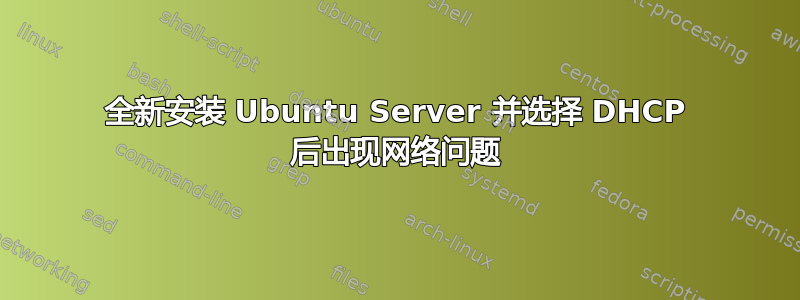 全新安装 Ubuntu Server 并选择 DHCP 后出现网络问题