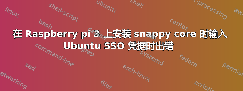 在 Raspberry pi 3 上安装 snappy core 时输入 Ubuntu SSO 凭据时出错 