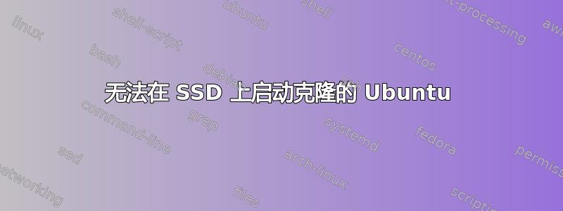 无法在 SSD 上启动克隆的 Ubuntu