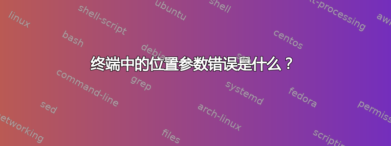 终端中的位置参数错误是什么？