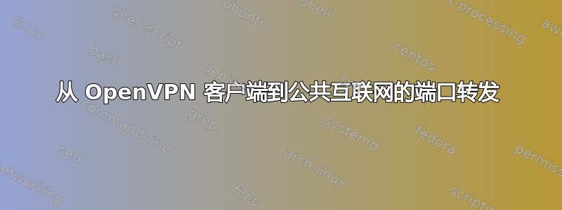 从 OpenVPN 客户端到公共互联网的端口转发