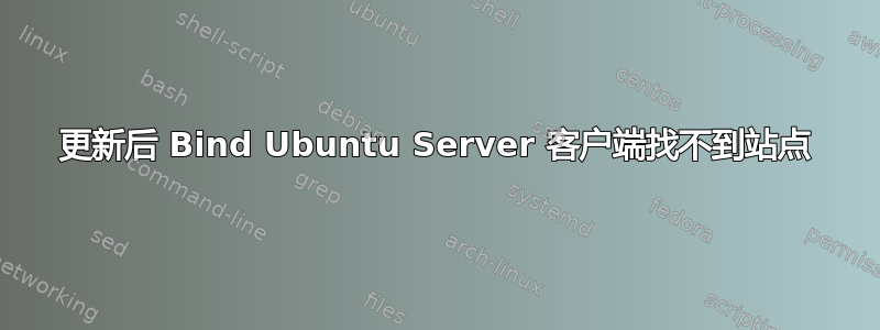 更新后 Bind Ubuntu Server 客户端找不到站点