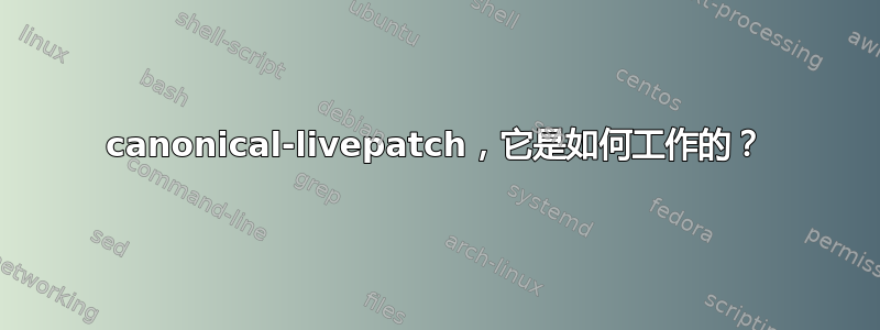 canonical-livepatch，它是如何工作的？