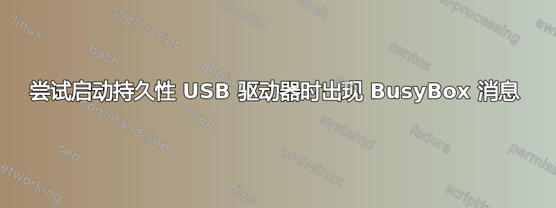 尝试启动持久性 USB 驱动器时出现 BusyBox 消息