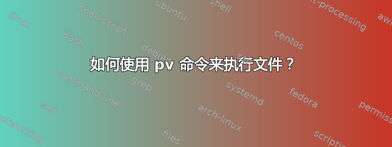 如何使用 pv 命令来执行文件？