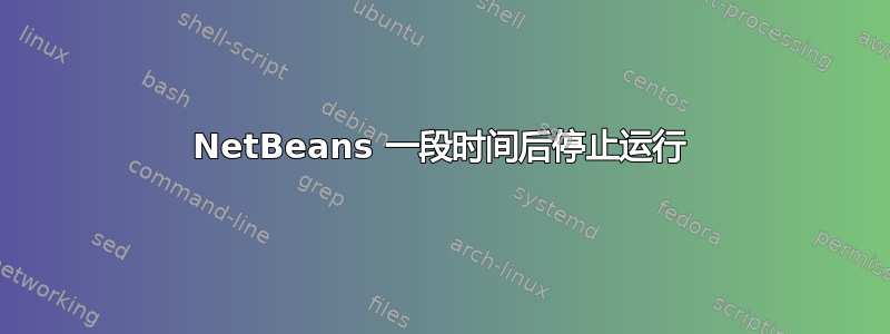 NetBeans 一段时间后停止运行