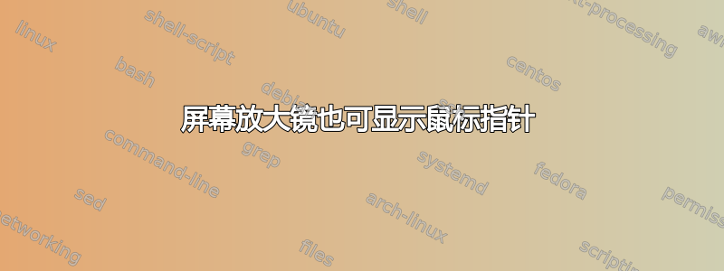 屏幕放大镜也可显示鼠标指针