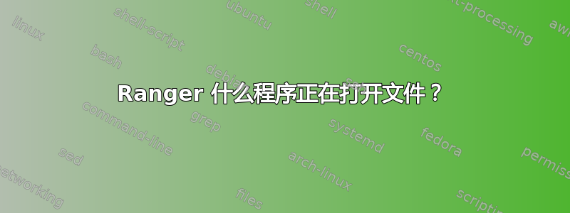 Ranger 什么程序正在打开文件？