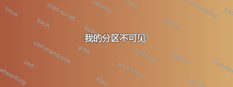 我的分区不可见