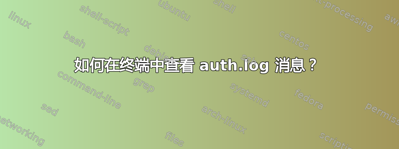 如何在终端中查看 auth.log 消息？