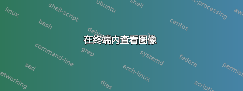 在终端内查看图像