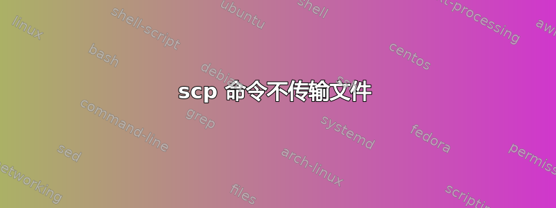 scp 命令不传输文件