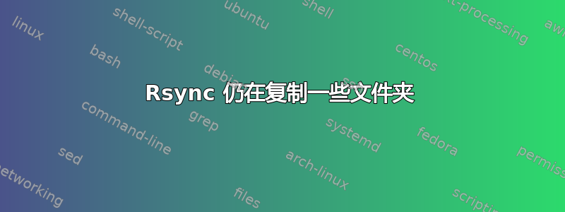 Rsync 仍在复制一些文件夹