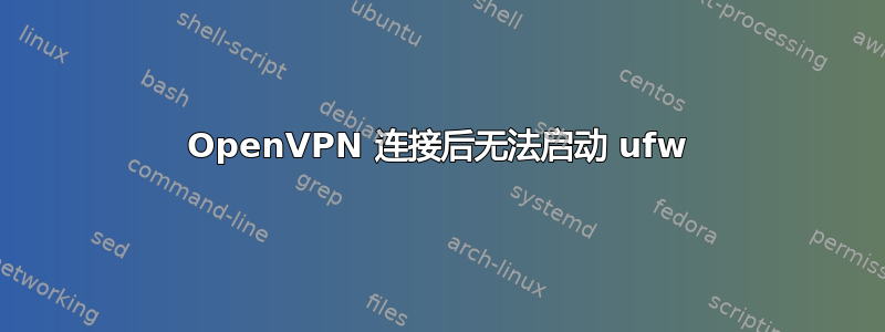 OpenVPN 连接后无法启动 ufw