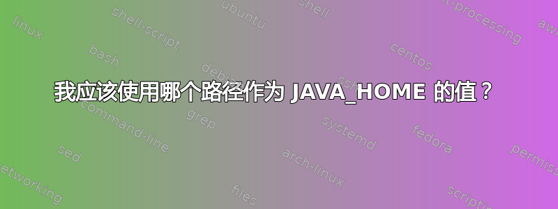 我应该使用哪个路径作为 JAVA_HOME 的值？