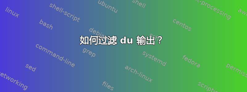 如何过滤 du 输出？