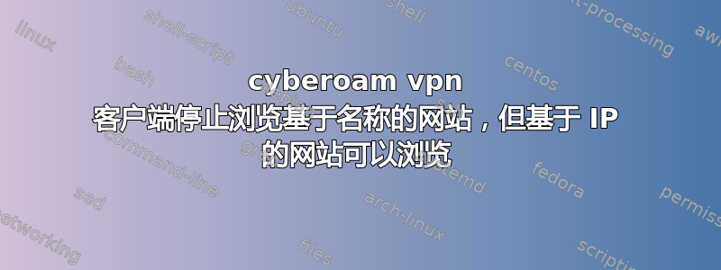 cyberoam vpn 客户端停止浏览基于名称的网站，但基于 IP 的网站可以浏览