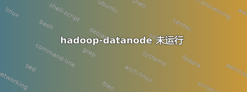 hadoop-datanode 未运行