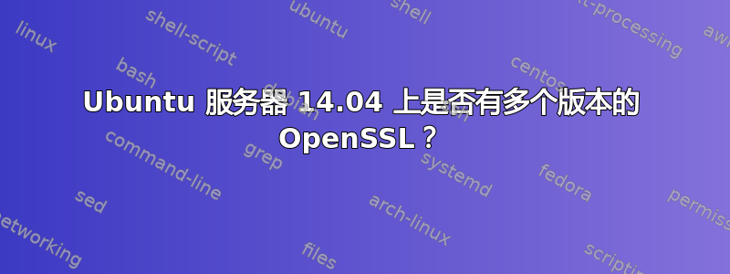 Ubuntu 服务器 14.04 上是否有多个版本的 OpenSSL？