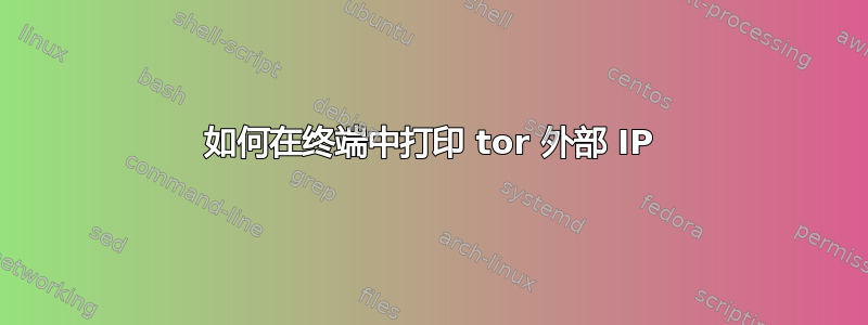 如何在终端中打印 tor 外部 IP