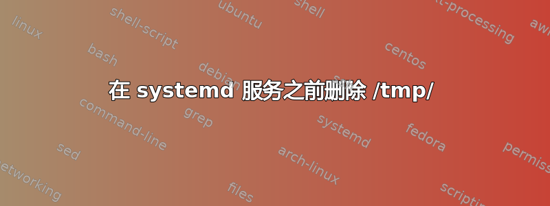 在 systemd 服务之前删除 /tmp/