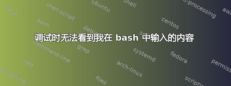 调试时无法看到我在 bash 中输入的内容