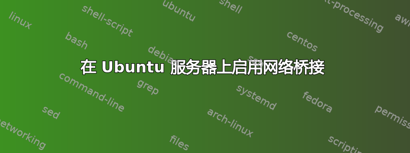 在 Ubuntu 服务器上启用网络桥接