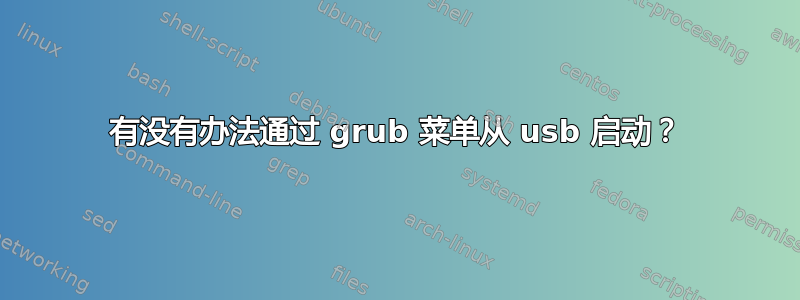 有没有办法通过 grub 菜单从 usb 启动？