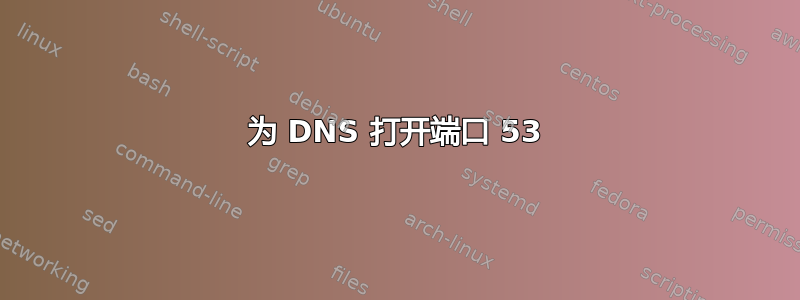 为 DNS 打开端口 53