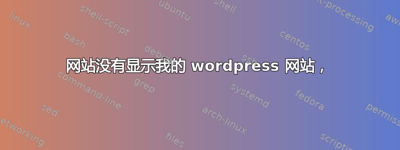 网站没有显示我的 wordpress 网站，