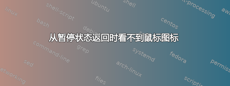 从暂停状态返回时看不到鼠标图标