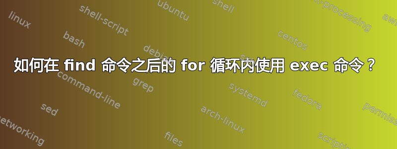 如何在 find 命令之后的 for 循环内使用 exec 命令？