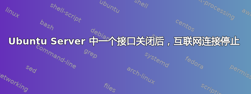 Ubuntu Server 中一个接口关闭后，互联网连接停止