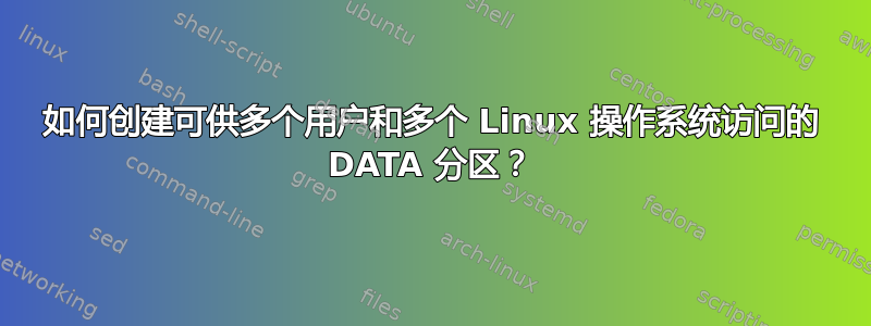 如何创建可供多个用户和多个 Linux 操作系统访问的 DATA 分区？