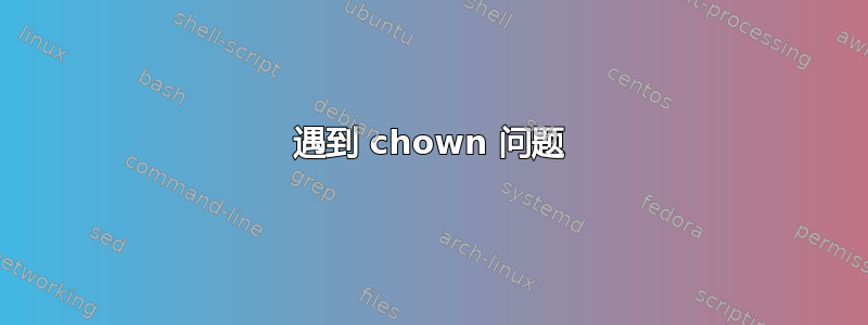 遇到 chown 问题