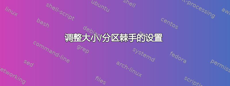 调整大小/分区棘手的设置