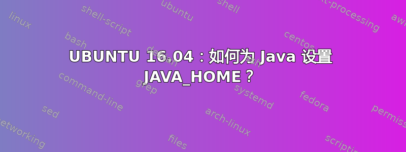 UBUNTU 16.04：如何为 Java 设置 JAVA_HOME？