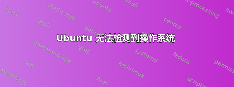 Ubuntu 无法检测到操作系统