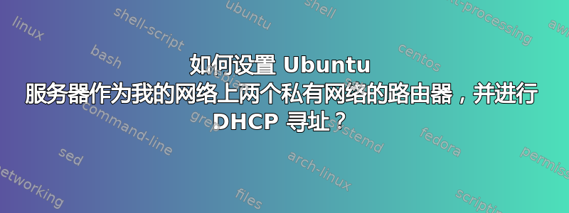 如何设置 Ubuntu 服务器作为我的网络上两个私有网络的路由器，并进行 DHCP 寻址？