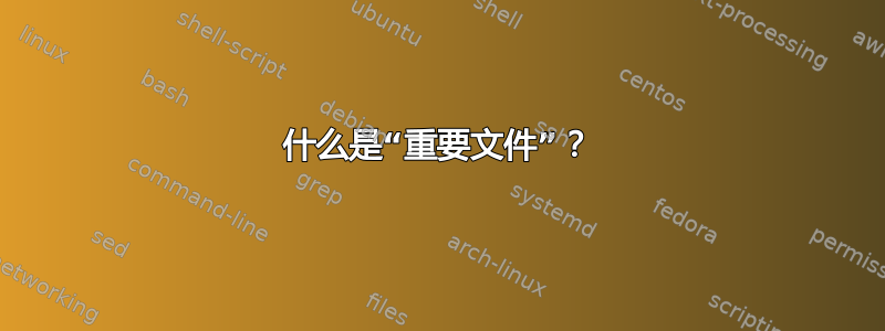 什么是“重要文件”？