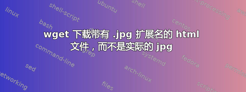 wget 下载带有 .jpg 扩展名的 html 文件，而不是实际的 jpg